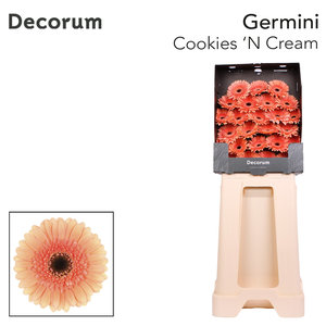 Germini Cookies n Cream Diamond