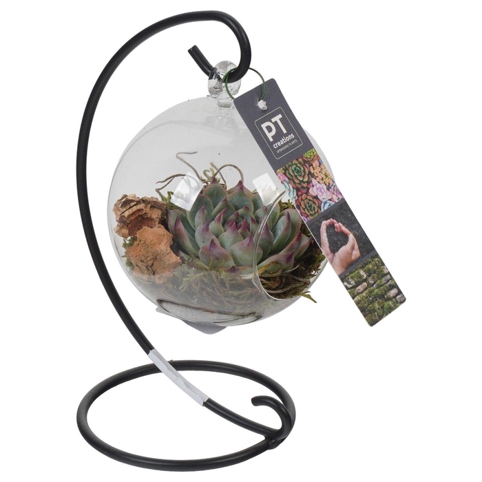 <h4>PTGIG2110 Arrangement Greens in glass in glazen bol met metalen standaard</h4>