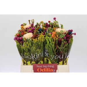 BQ Kaaps Groen Mandarin