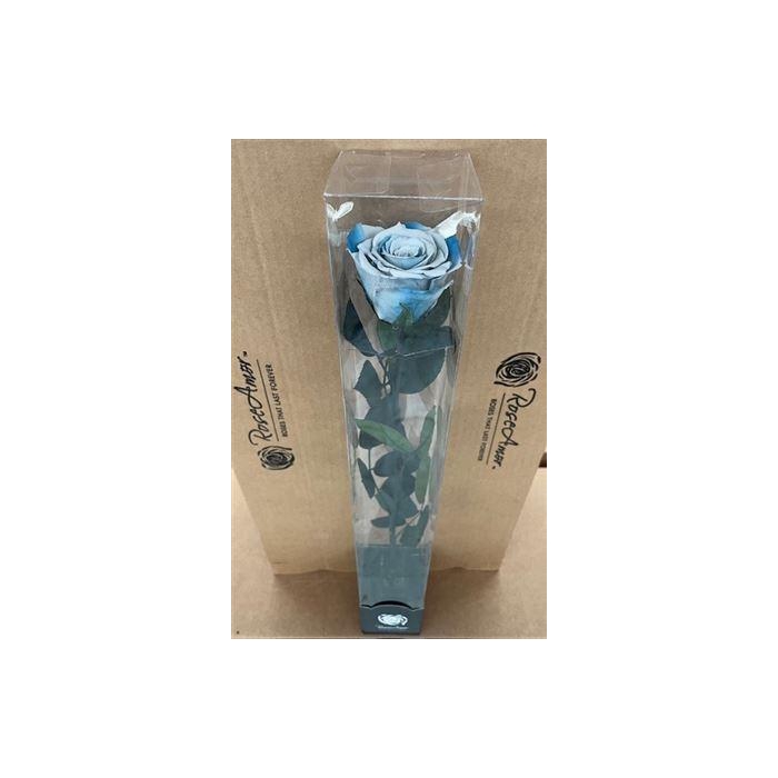 <h4>50cm Stem Blu05</h4>