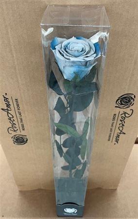 <h4>50cm Stem Blu05</h4>