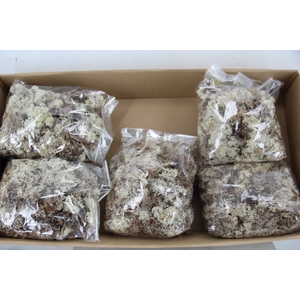 Moss Icelandic 500gr Natural