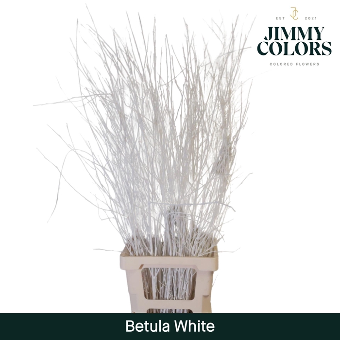 <h4>Betula L120 White</h4>