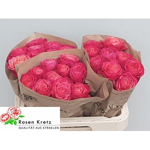 R GR WINDSOR CHARME+