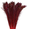 Feather Peacock L90/100 10pc/Bnd