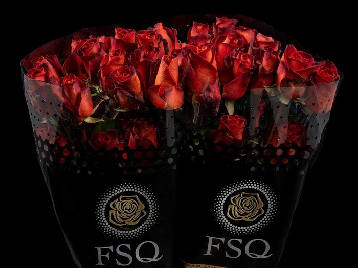 <h4>R GR Cafe Del Mar</h4>