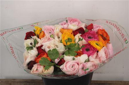 <h4>Ran.. Su Mix Extra</h4>