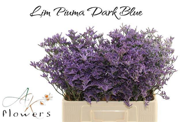 <h4>LIM PIUMA DARK BLUE</h4>