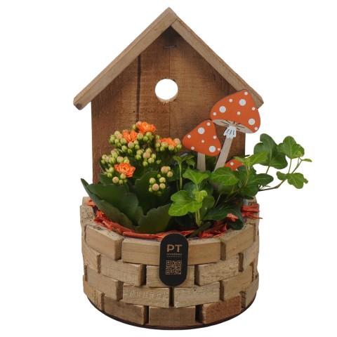 <h4>PTHI3339 Arrangement Autumn Indoor in houten vogelhuis</h4>