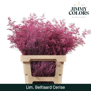 Lim Bel L70 Cerise