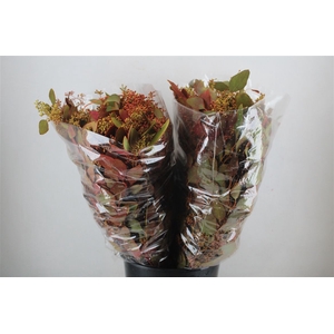 Euca Populus Berry 200gr De Luxe P Bunch
