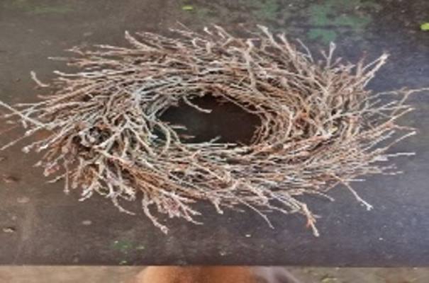 Wreath Wild Willow H6D30