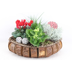 arr4 Outdoor VL - Hout blokjes kano bruin cycl.