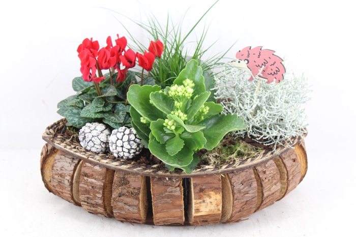 <h4>arr4 Outdoor VL - Hout blokjes kano bruin cycl.</h4>