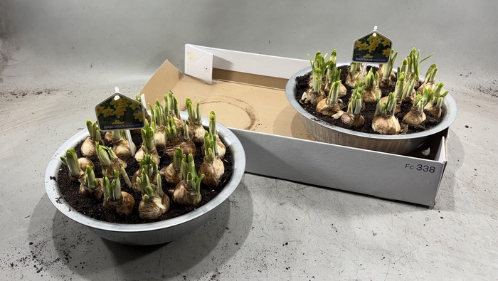 <h4>ARR N TETE A TETE</h4>