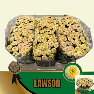CHR S LAWSON