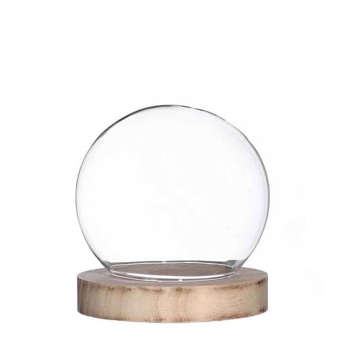 <h4>Glass Cloche Ball d13*14cm</h4>
