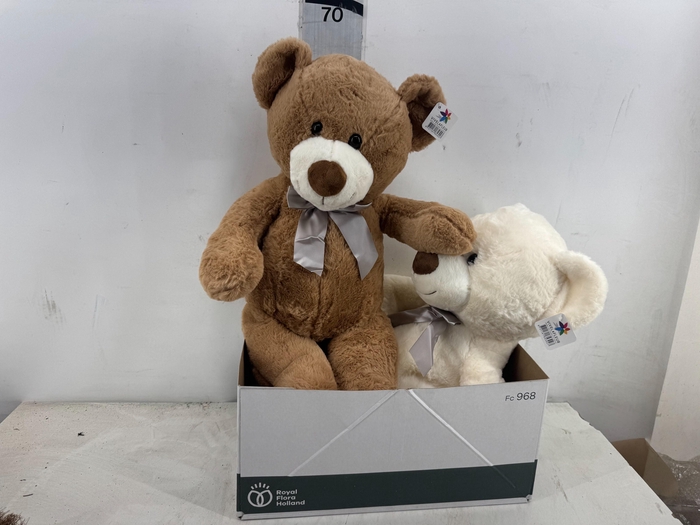 <h4>HUIS EN TUINDECO H%</h4>