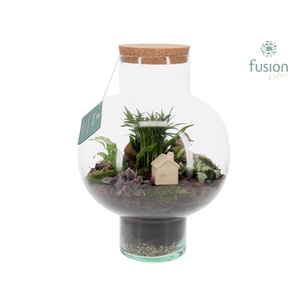 Green Bottle Laura Large met Terrarium arrangement