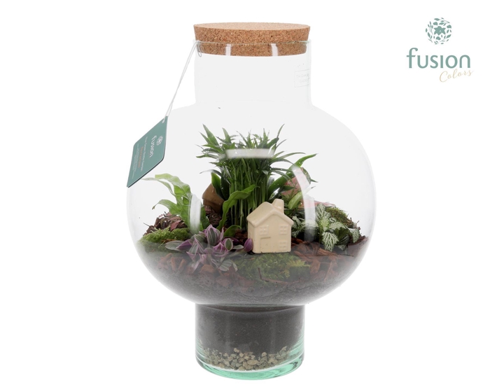 <h4>Green Bottle Laura Large met Terrarium arrangement</h4>