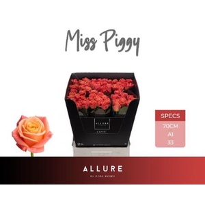 R Gr Miss Piggy