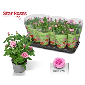 RO LIGHT STAR