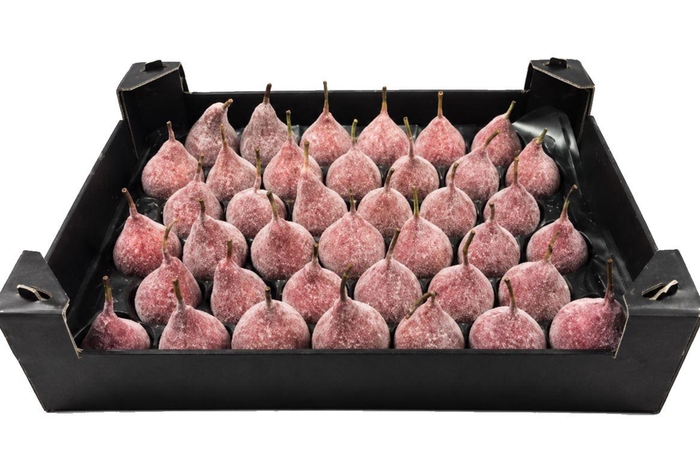 <h4>Waxpeer Gl Rood Kerst</h4>