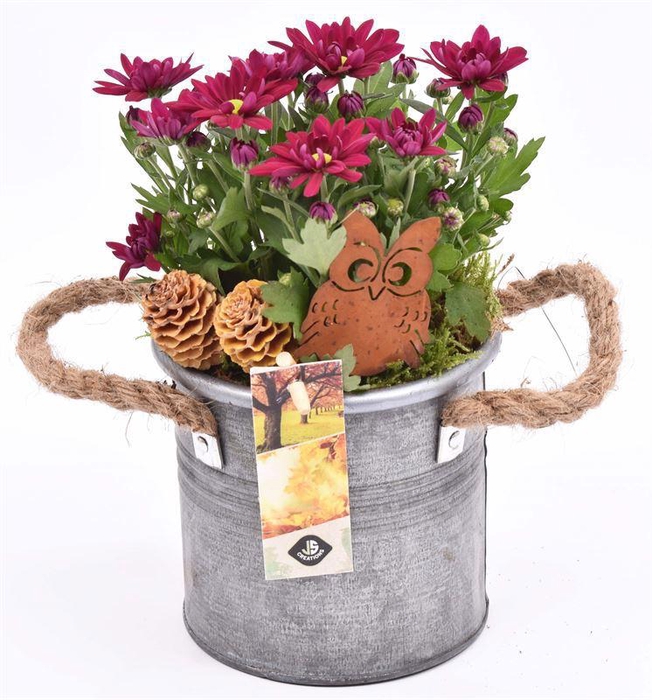<h4>Zink ton gry met touwhandv. 12cm</h4>
