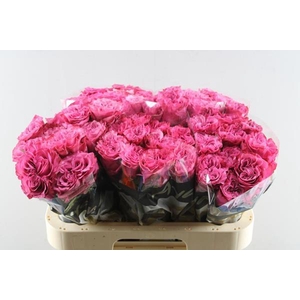 R Gr Country Blues L 60