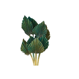 Dried Artz Palm Spear 10pc Van Gogh Bunch