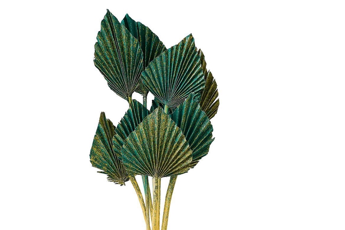 <h4>Dried Artz Palm Spear 10pc Van Gogh Bunch</h4>