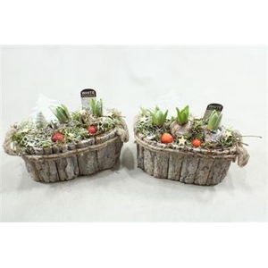 1169 Schors Ovaal Hya