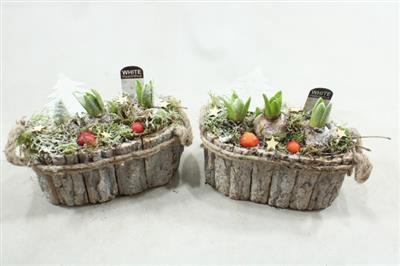 <h4>1169 Schors Ovaal Hya</h4>