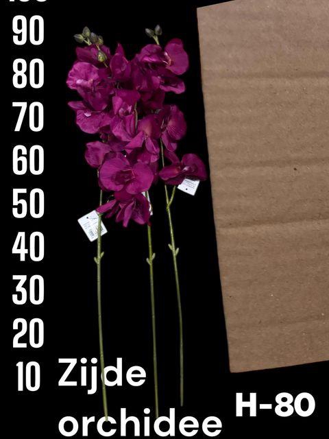 <h4>HUIS EN TUINDECO H%</h4>