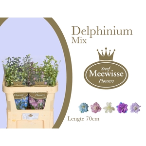 Delph Mix Steef Meewisse