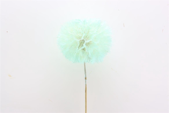 <h4>Pres Puste Flower Emerald</h4>