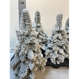 Deco Sneeuw Parafine H%