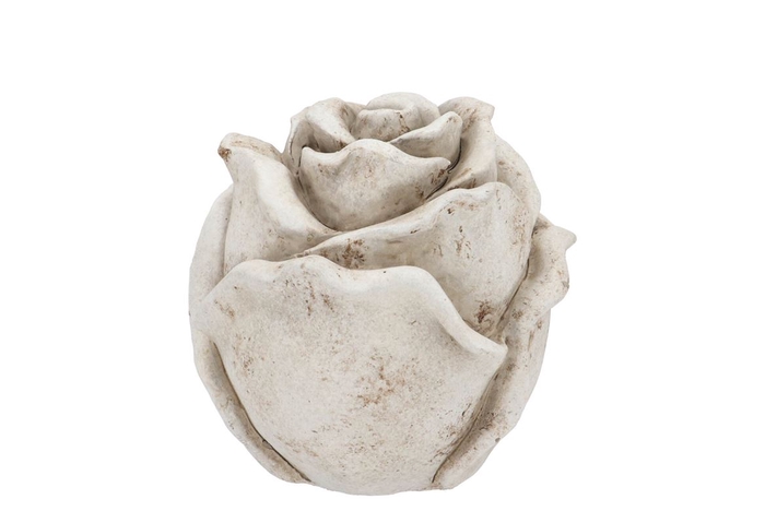 <h4>Concrete Antique Rose 11x11x11cm</h4>