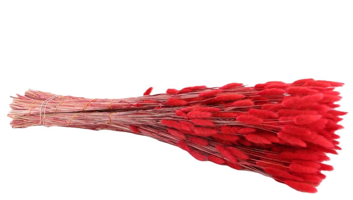 <h4>DROOGBL BEWERKT H%</h4>