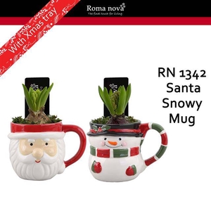 arr4 Hyacint RN - Santa snowy mug