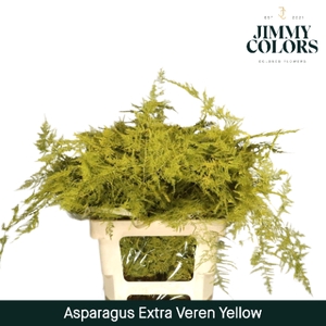 Asp extra veren Yellow