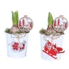 Arrangementen Hyacinthus 6%