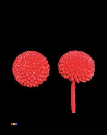 <h4>Craspedia Klb Red</h4>