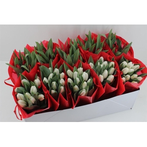 Boeket Tulp In Tas (kerst)