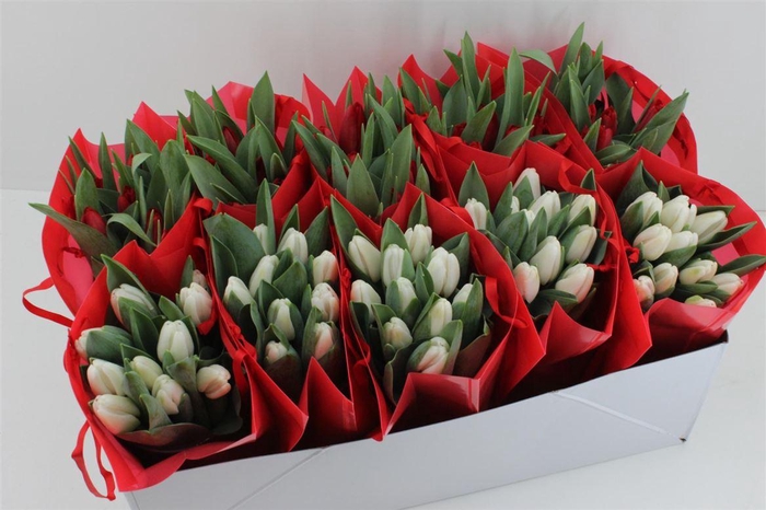 <h4>Boeket Tulp In Tas (kerst)</h4>