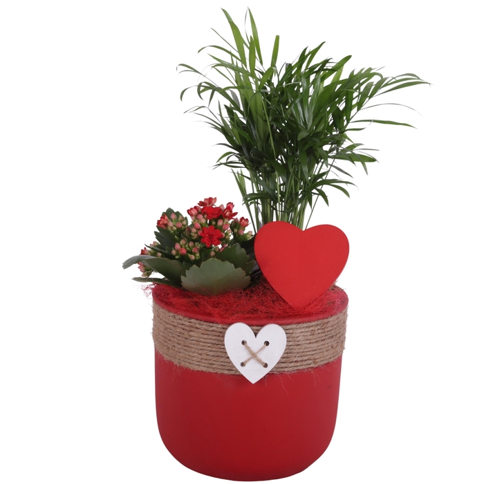 <h4>Valentine Arr. Indoor Ceramic Pot Round Rope Heart Red Ø17cm 2PP</h4>