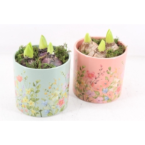 arr4 Hyacint RN - Floral finesse rond