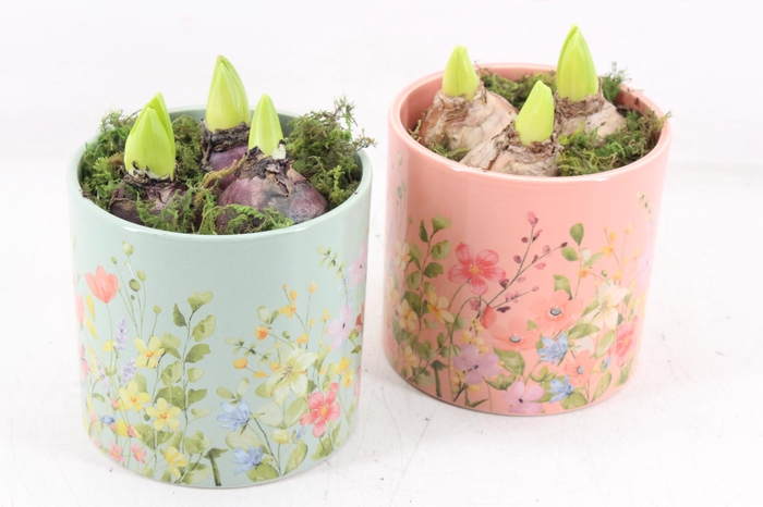 <h4>arr4 Hyacint RN - Floral finesse rond</h4>