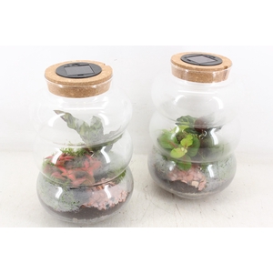 arr3 WR - Terrarium Pluto M LED