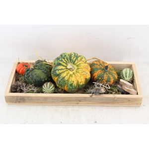arr4 Sierfruit MB - Hout tray x3